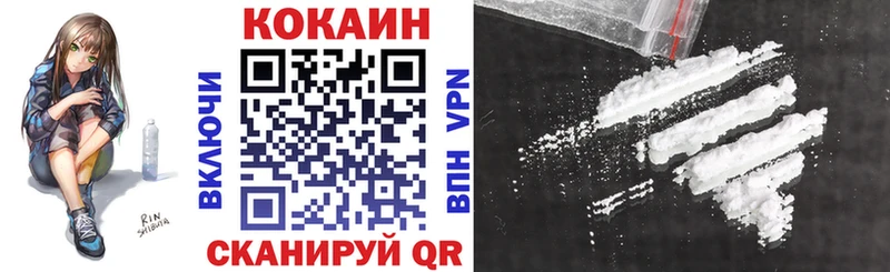 Купить закладки  Заводоуковск  COCAIN 98% 