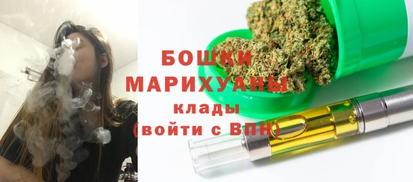 spice Инсар