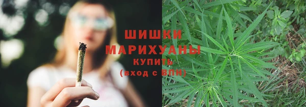 spice Инсар