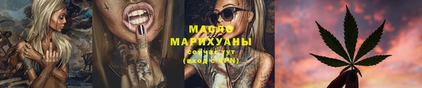 spice Инсар