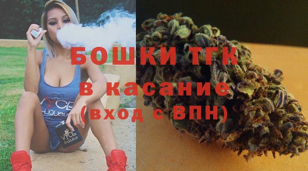 мет Инта
