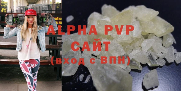 spice Инсар