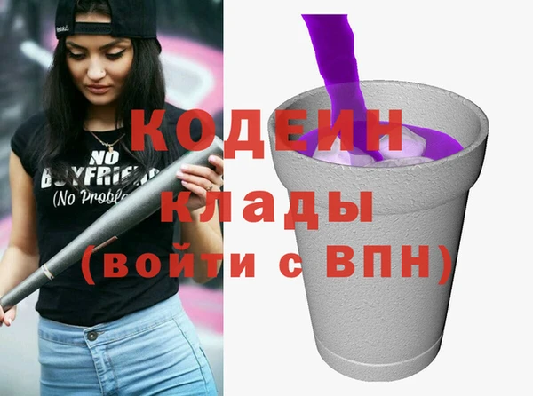 мет Инта