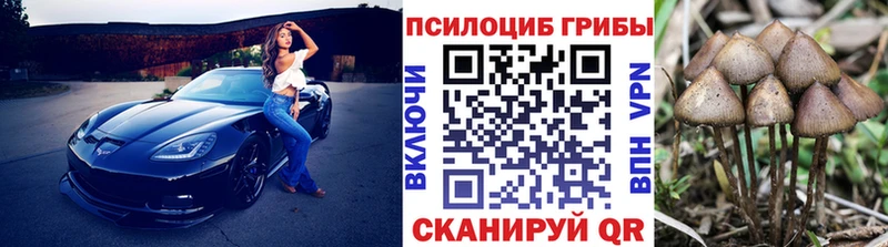 Галлюциногенные грибы MAGIC MUSHROOMS  Купить закладки  Заводоуковск 