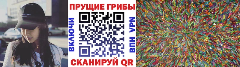 Псилоцибиновые грибы Magic Shrooms Заводоуковск