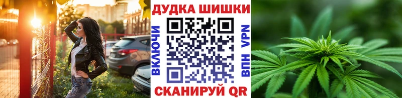 Купить  Заводоуковск  Бошки Шишки сатива 